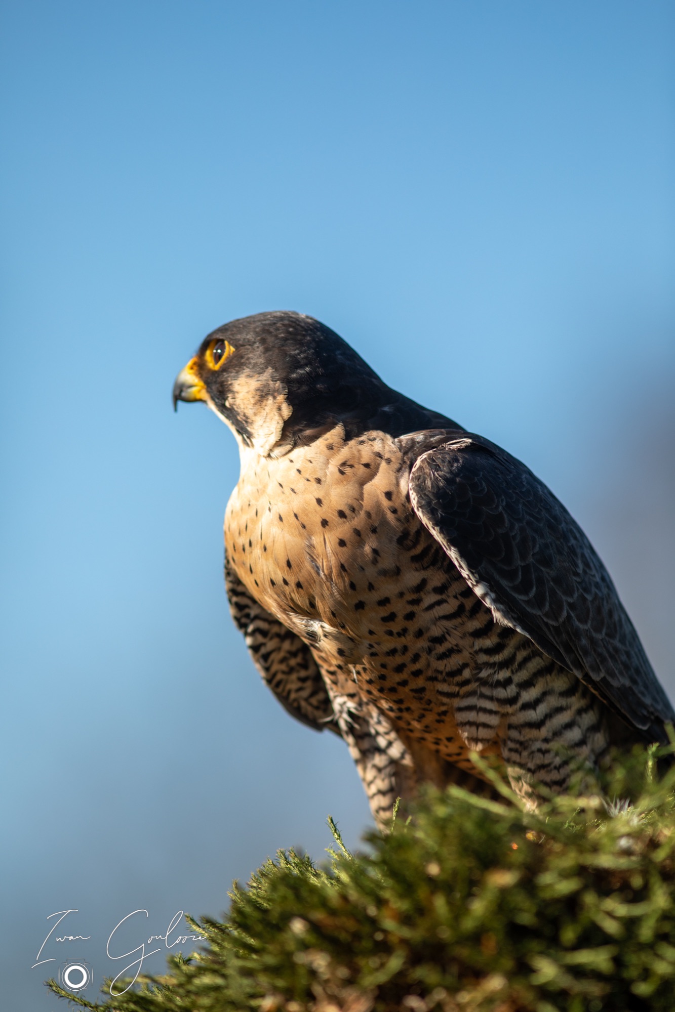 04 maart 2022 144020  5D44056